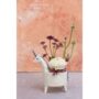 product-268428-1786719996-ACC01-0001644^2